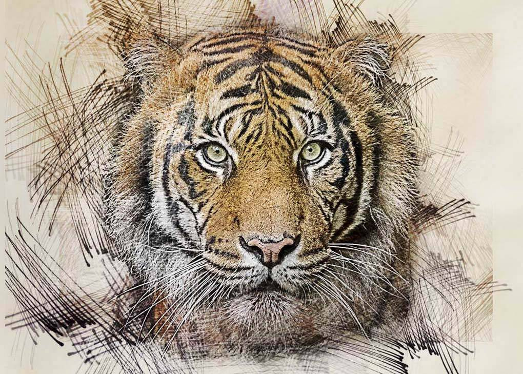 Фотообои Амурский тигр