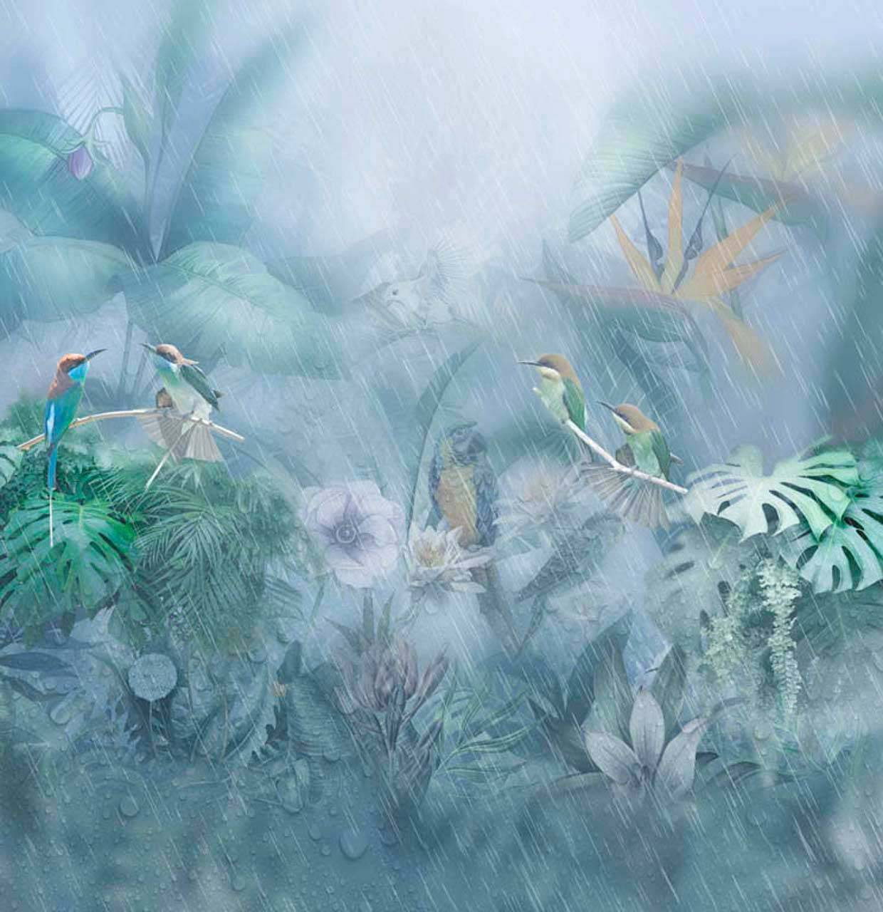Фотообои Тропический лес в тумане